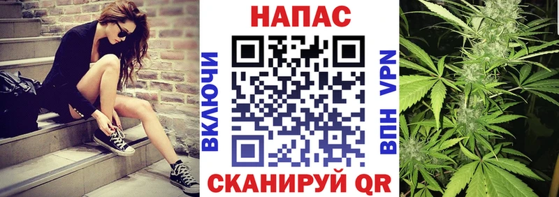Марихуана гибрид Анива